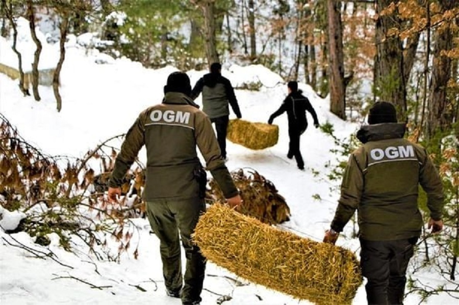 Yaban'da yaşayan canlar unutulmadı;