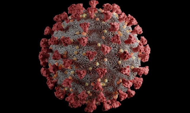 Koronavirüs tarih mi oluyor? tüm varyantlarını etkisiz hale getiren antikor keşfedildi;