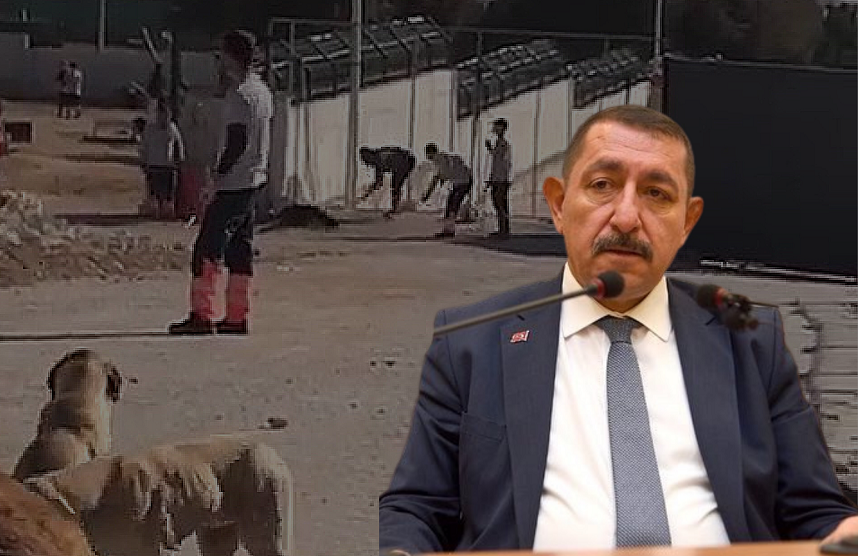 "Bu konuda en hassas belediyelerden biriyiz";