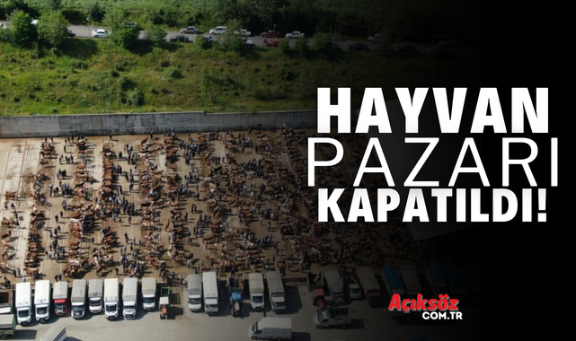 Kastamonu Canlı Hayvan Pazarı kapatıldı!;