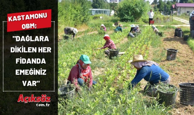 "Dağlara dikilen her fidanda emeğiniz var";