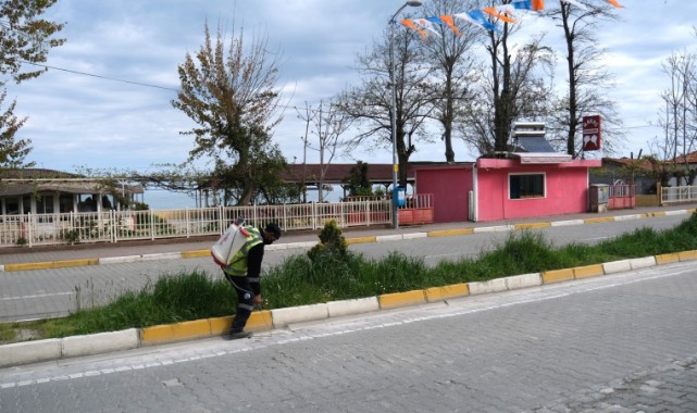 İnebolu'da sinek ve haşerelere karşı mücadele başlatıldı;