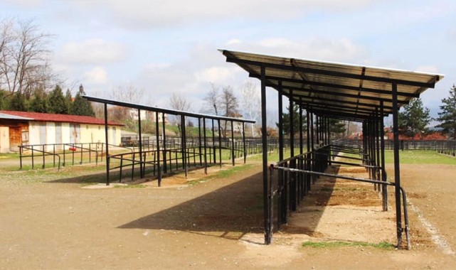 Taşköprü’de ‘şap’ karantinası!.. Hayvan pazarı kapatıldı;