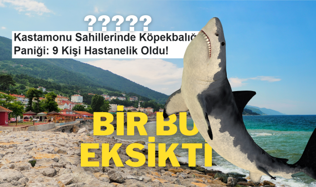 Kastamonu’nun bir ‘Köpekbalığı’ eksikti!