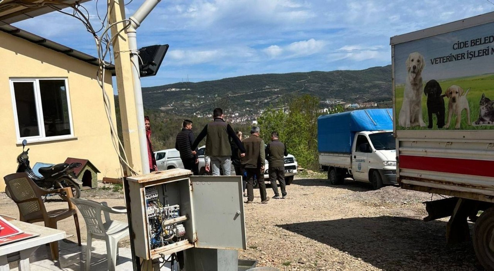 'Hayvan severler şikayet etti, çalışmalar durduruldu!';