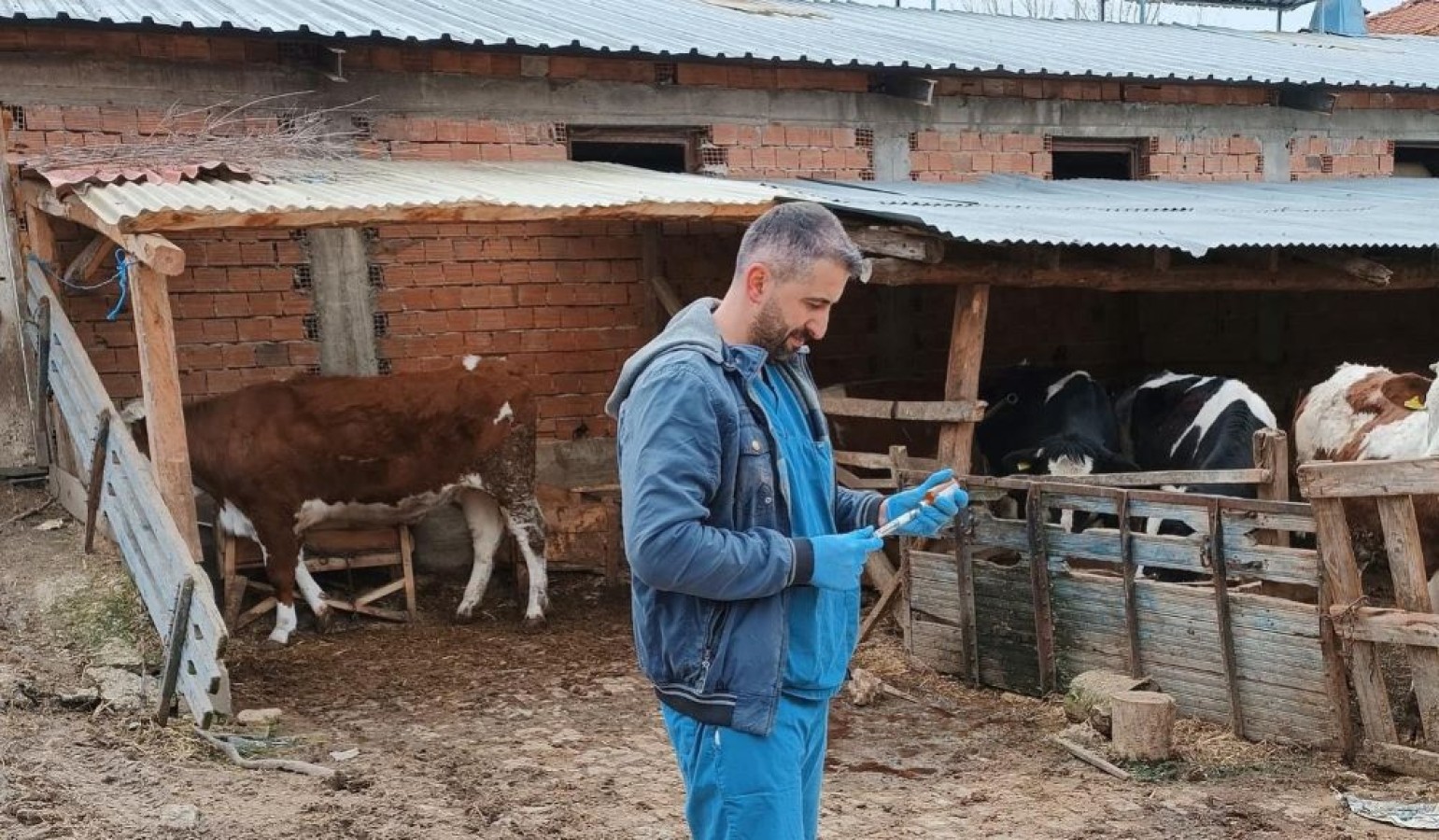 Kastamonu İl Müdürlüğü açıkladı! Yüzde 85...;