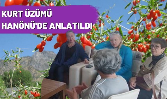 Kurt Üzümü Hanönü'nde anlatıldı