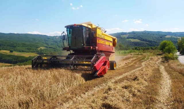 Kastamonu'da siyez hasadı devam ediyor;
