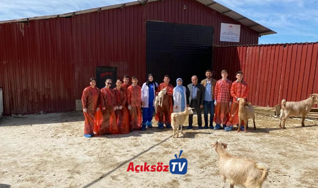 Ağlı'da, öğrenciler hayvanları muayene etti;