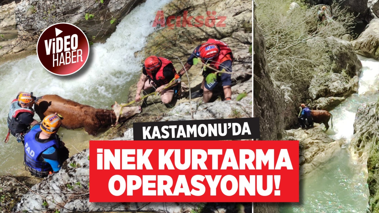 Kastamonu’da inek kurtarma operasyonu!;