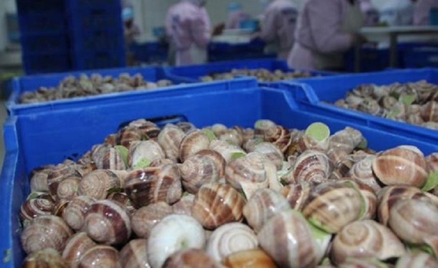 1,3milyon dolar gelir sağlandı;