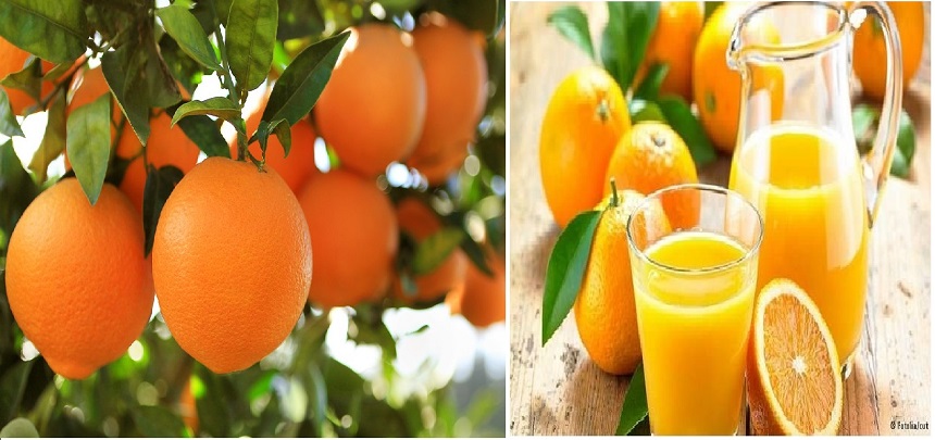 Portakal suyu faydaları nedir ? nelere iyi gelir ?