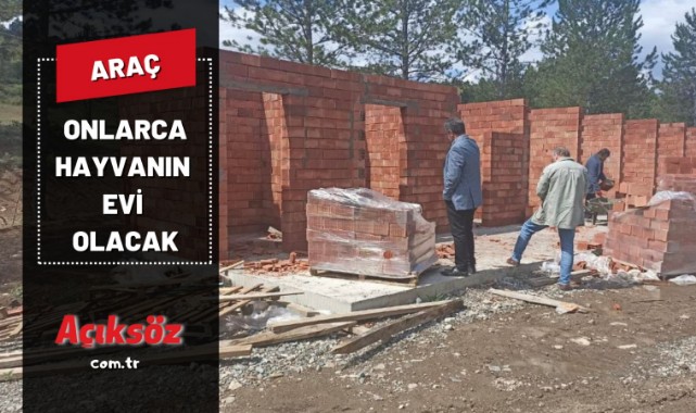 Onlarca hayvanın evi olacak;