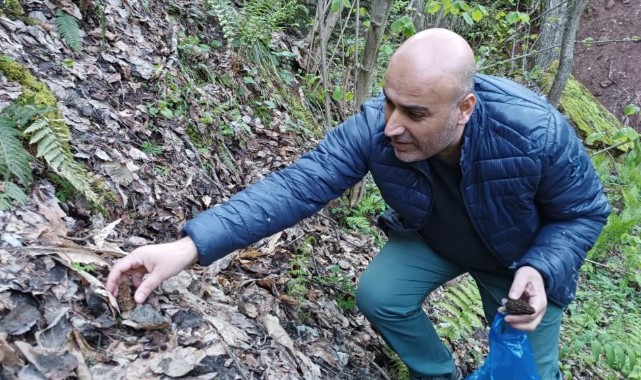 Bastığınız yere dikkat edin! Fiyatı altınla yarışıyor;