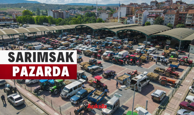 Taşköprü Sarımsağı, pazara indi!;