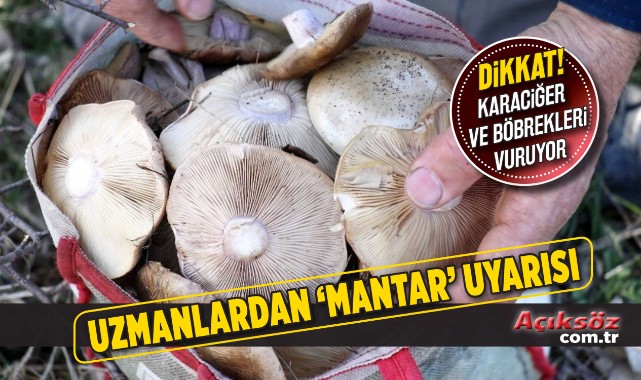 Mantara dikkat! Karaciğer ve böbrekleri vuruyor