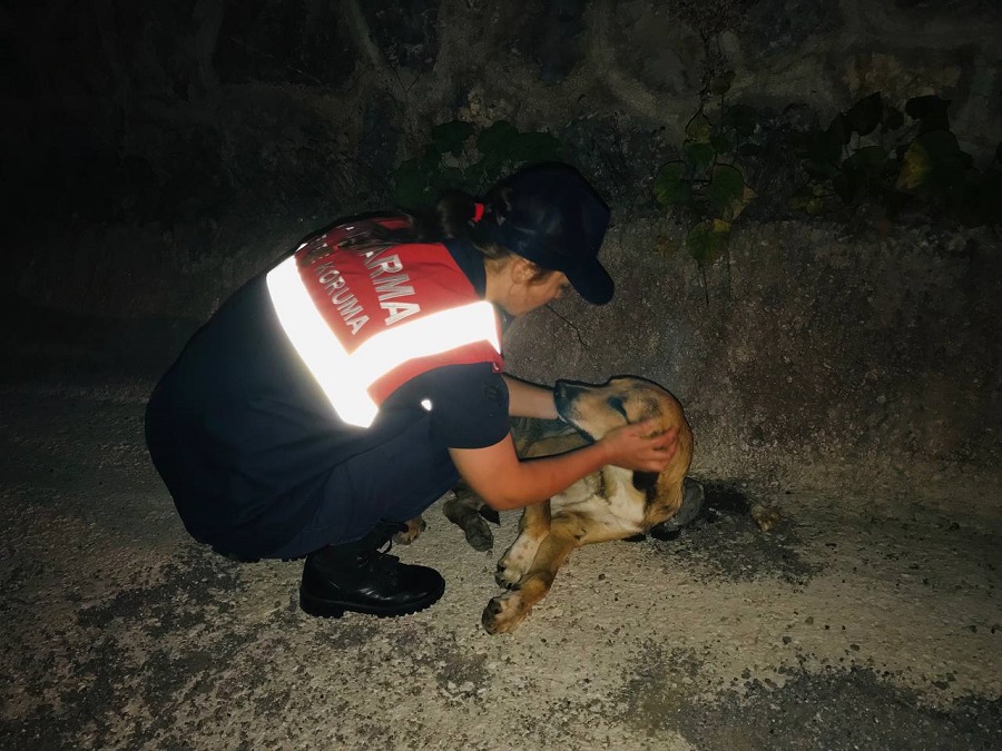 Jandarma HAYDİ, gönülleri fethetti;