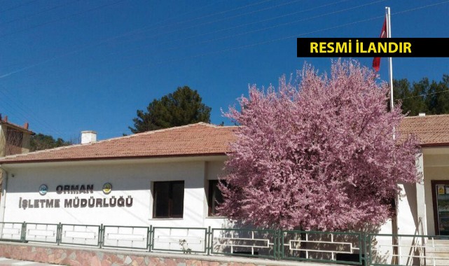 MUHTELİF ÇAPLARDA II SINIF CAM TAKVİYELİ PLASTİK BORU (CTP) ALIM İŞİ;