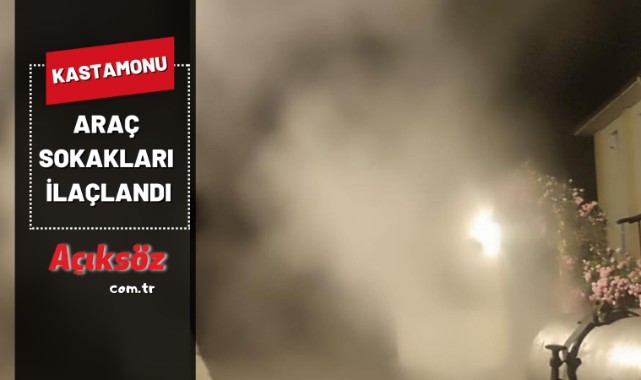 Araç sokakları ilaçlandı;