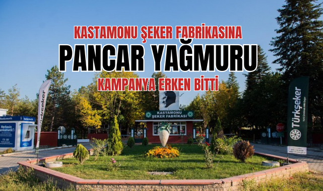 Kastamonu Şeker Fabrikasına pancar yağmuru! Kampanya erken bitti;