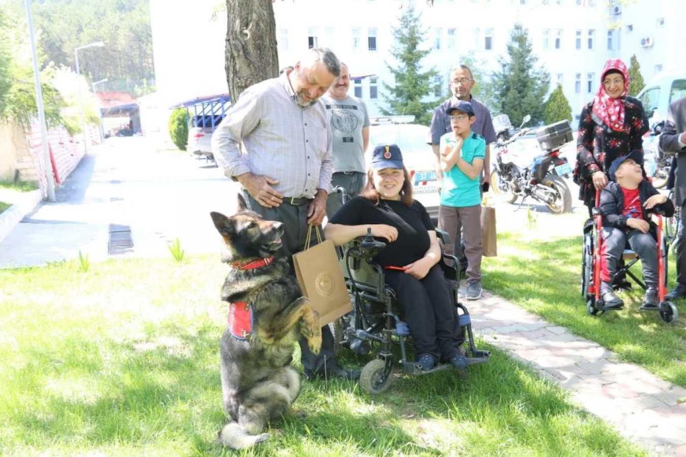 Geyik besleyip, eğitimli köpeklerle eğlendiler;