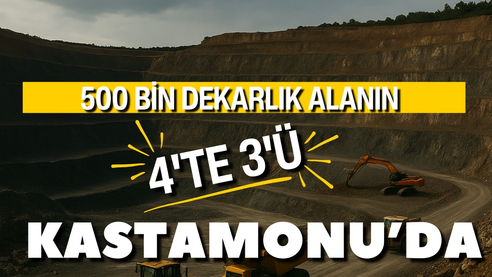 500 bin dekarlık alanın 4’te 3’ü Kastamonu’da!;