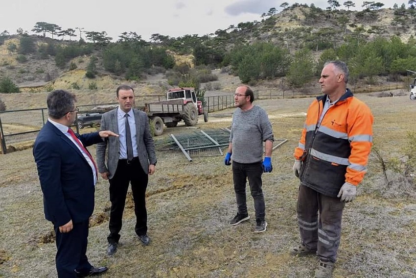 Sokak canlılarımız için en kısa zamanda yaşam alanı oluşturulacak;