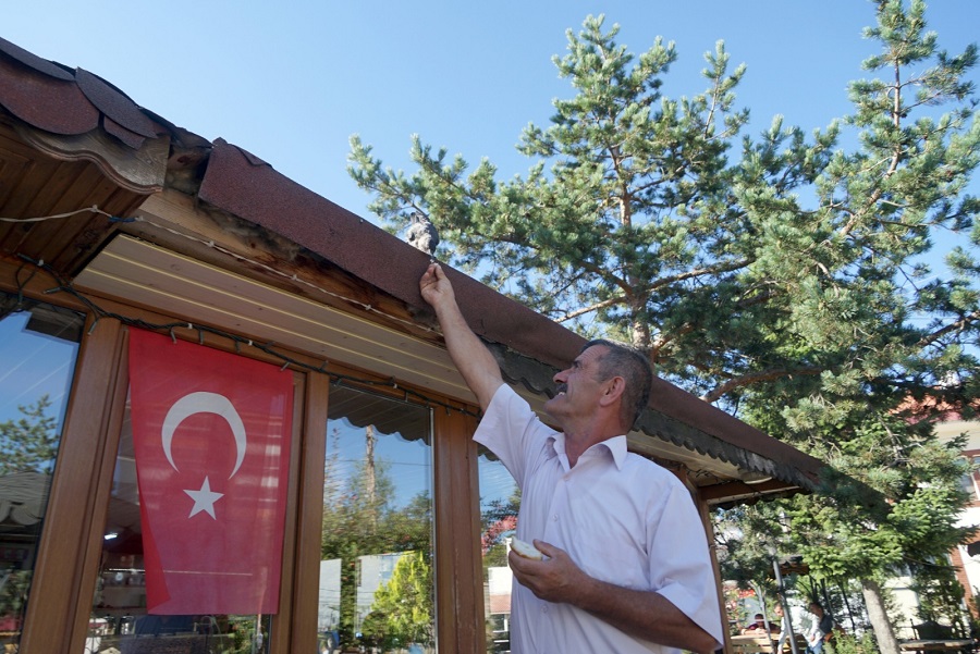 Kargayla dostluğu görenleri şaşırtıyor;