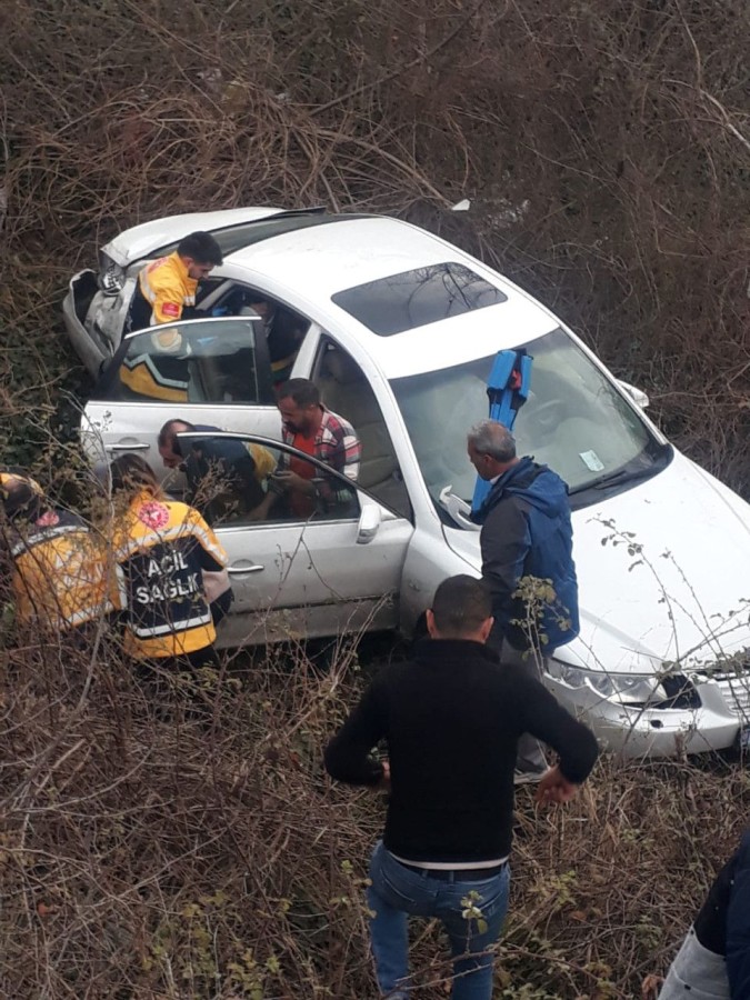 Tarlaya düşen otomobildeki 3 İranlı yaralandı;