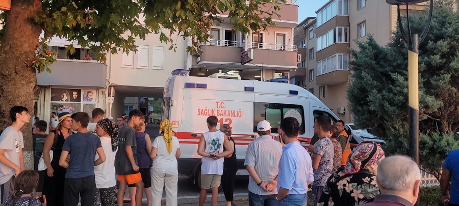 Tüm müdahalelere rağmen kurtarılamadı;