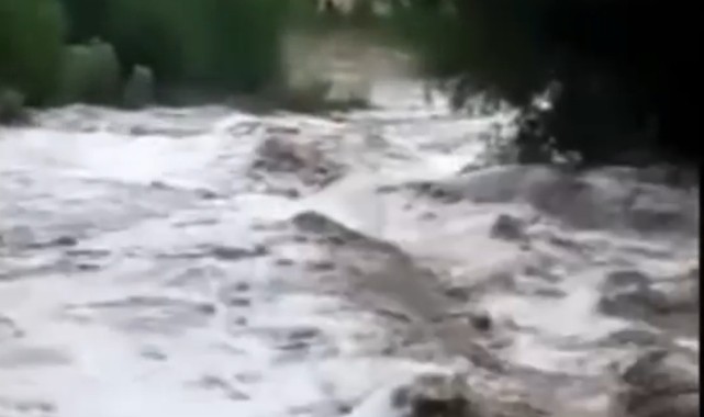 Bağlar Çayı taştı, tarım arazileri zarar gördü;
