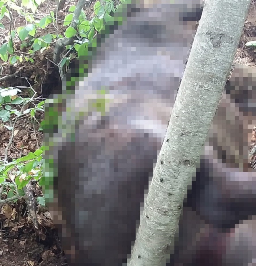 Mandalarını silahla vurulmuş halde buldu;