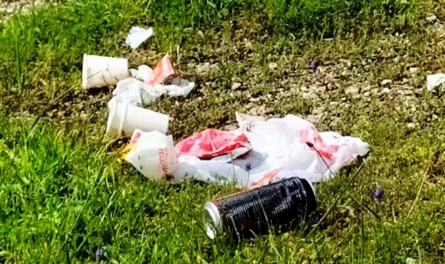 Ormanı çöplüğe çevirdiler! Köylüler tepkili;