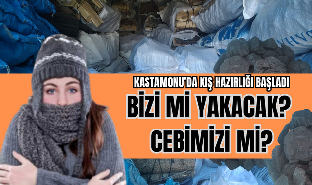 Kastamonu’da odun, kömür hazırlıkları başladı;