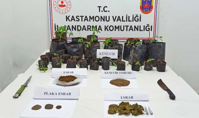 İnebolu'da uyuşturucu operasyonu;