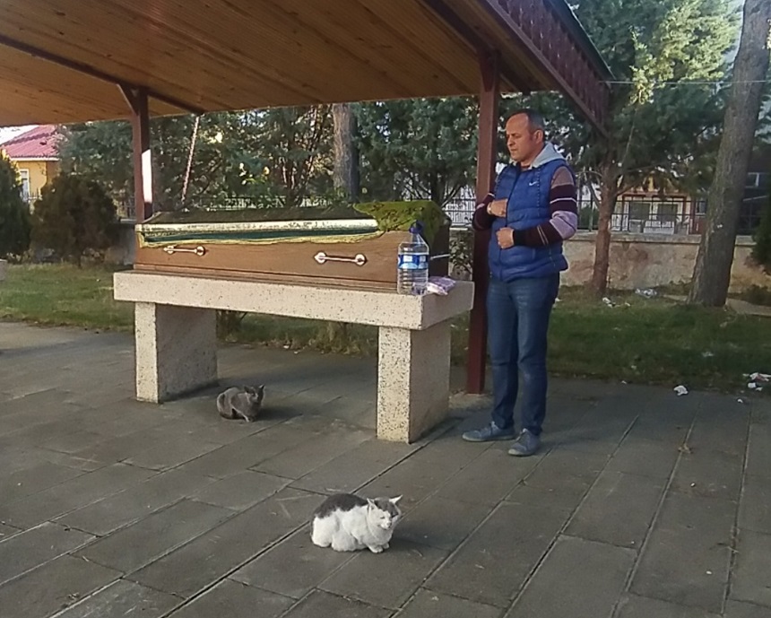 Kedilerin tabut başındaki 'vefa' nöbeti;