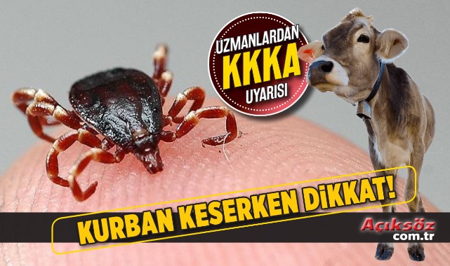 Dikkat! Kurban keserken bulaşabilir