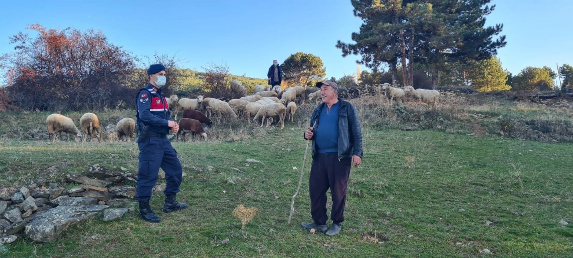 Kaybolan hayvanlarını jandarma buldu;