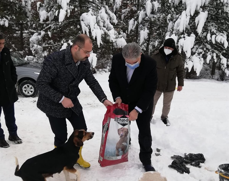 Tosya'da sokak hayvanları unutulmadı;