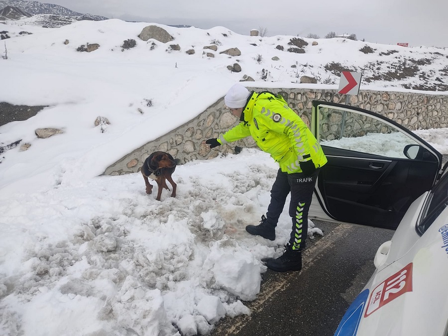 Polislerin dikkati köpeğin hayatını kurtardı;