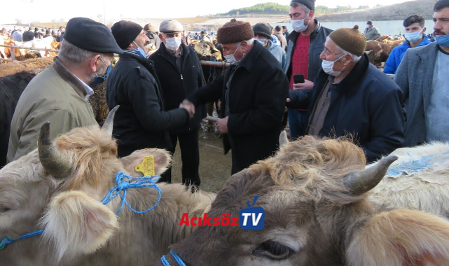 Hayvan Pazarı açılıyor;