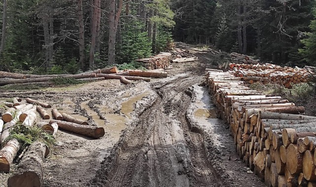 Yağmur da çamur da orman köylüsünü durduramıyor;