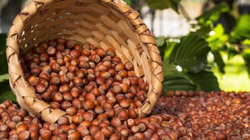 Üreticinin fiyat beklentisi 55 TL;