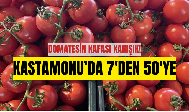 Domatesin kafası karışık! Kastamonu’da 7’den 50’ye;