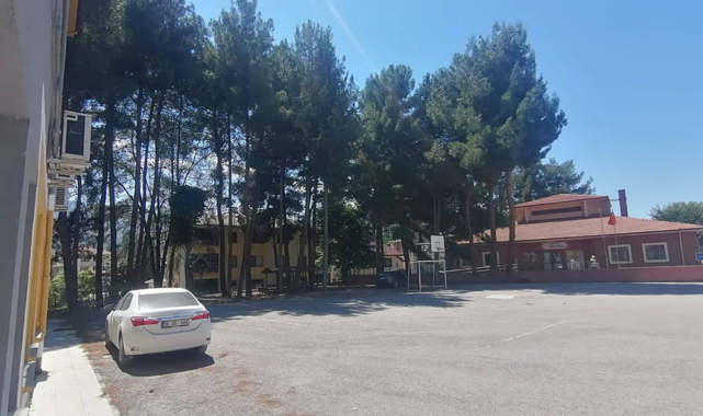 Okul bahçesindeki ağaçlar satışa çıktı!;