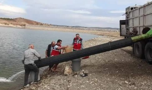 Devrekani'de baraja 336 bin sazan bırakıldı;