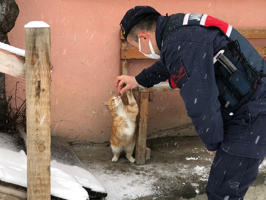 Jandarma, sokak hayvanlarını unutmuyor;